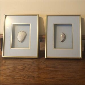 Elegant Gold Framed Seashell Art Set Figi giftware